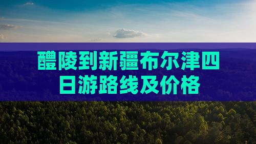 醴陵到新疆布尔津四日游