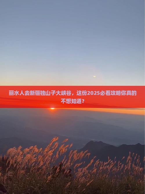 丽水去新疆独山子大峡谷大型旅游团