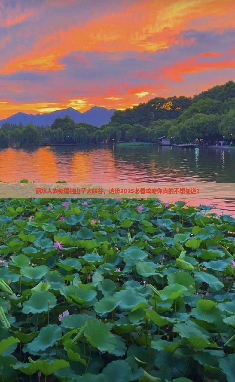 丽水去新疆独山子大峡谷大型旅游团