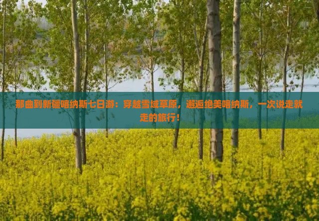 那曲到新疆喀纳斯七日游