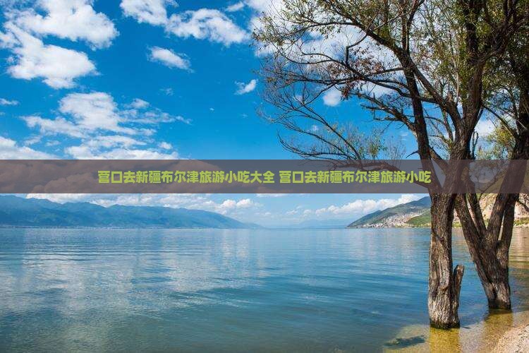 营口去新疆布尔津旅游小吃