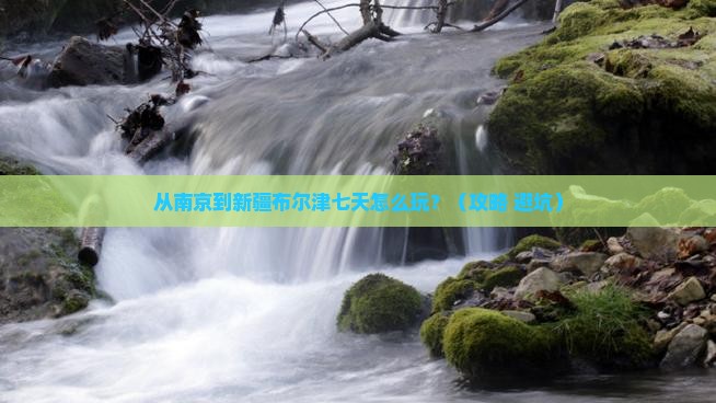 南京去新疆布尔津七日游