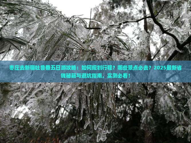枣庄去新疆吐鲁番五日游