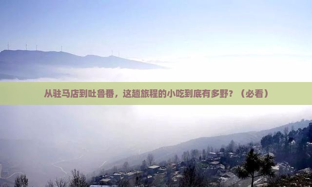 驻马店去新疆吐鲁番旅游小吃