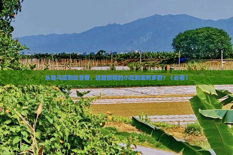 驻马店去新疆吐鲁番旅游小吃