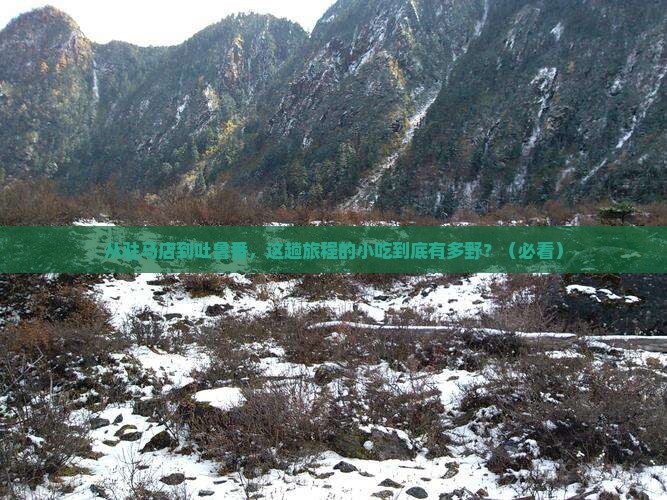 驻马店去新疆吐鲁番旅游小吃