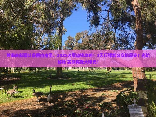 黄南去新疆吐鲁番自由团