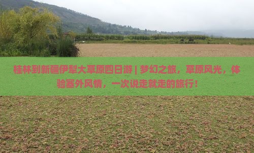 桂林到新疆伊犁大草原四日游