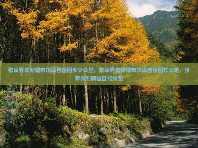 张家界去新疆布尔津自由团