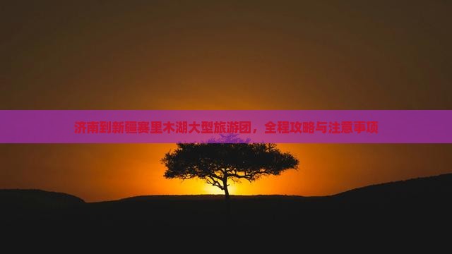 济南到新疆赛里木湖大型旅游团，全程攻略与注意事项