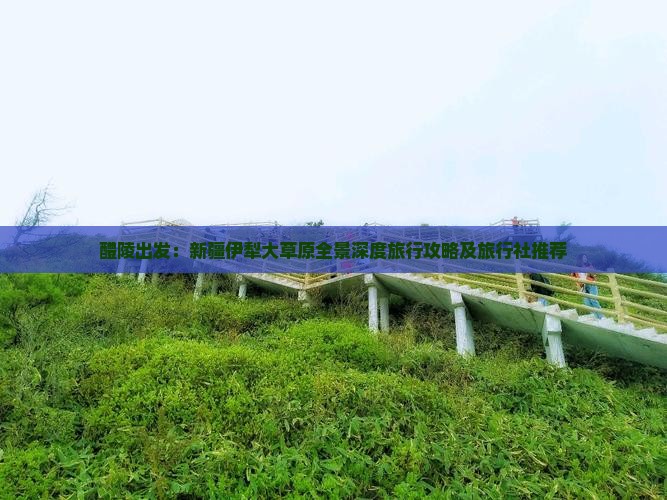醴陵出发：新疆伊犁大草原全景深度旅行攻略及旅行社推荐