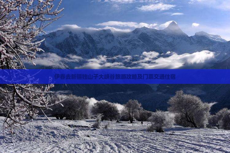 伊春去新疆独山子大峡谷旅游攻略及门票交通住宿