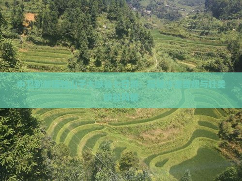 中卫到新疆独山子大峡谷七日游：探秘沙漠奇观与壮美峡谷风情