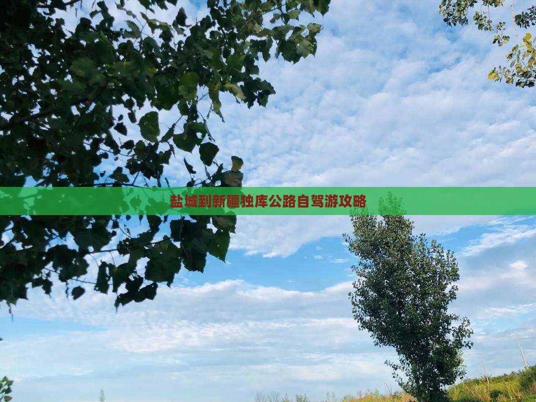 盐城到新疆独库公路自驾游攻略