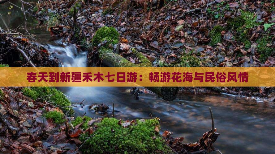 春天到新疆禾木七日游：畅游花海与民俗风情