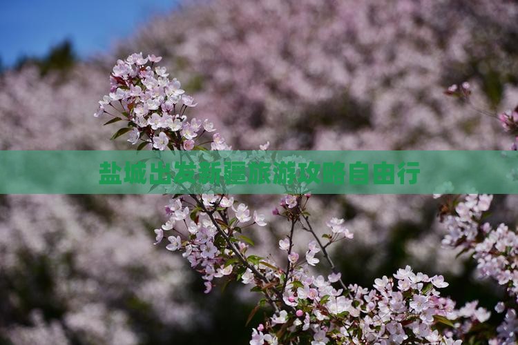 盐城出发新疆旅游攻略自由行