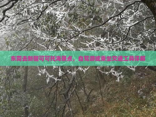 东莞去新疆可可托海景点，自驾游或乘坐交通工具详解