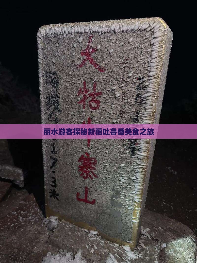 丽水游客探秘新疆吐鲁番美食之旅