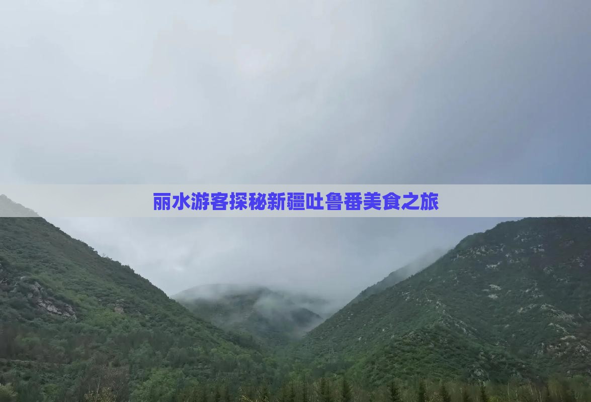 丽水游客探秘新疆吐鲁番美食之旅
