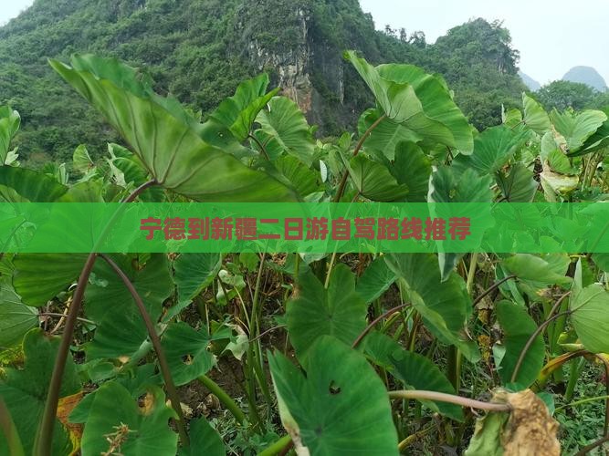 宁德到新疆二日游自驾路线推荐