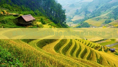 漯河到新疆独山子大峡谷自由团探寻丝路奇观之旅