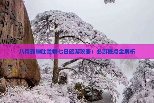 八月新疆吐鲁番七日旅游攻略：必游景点全解析