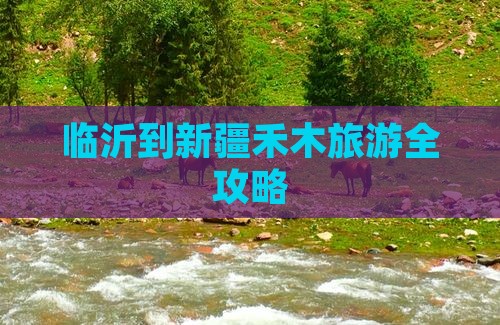 临沂到新疆禾木旅游全攻略