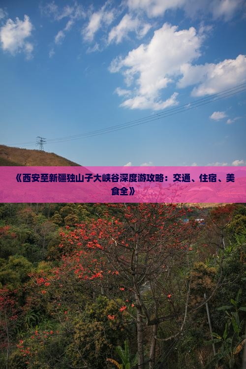 《西安至新疆独山子大峡谷深度游攻略：交通、住宿、美食全》