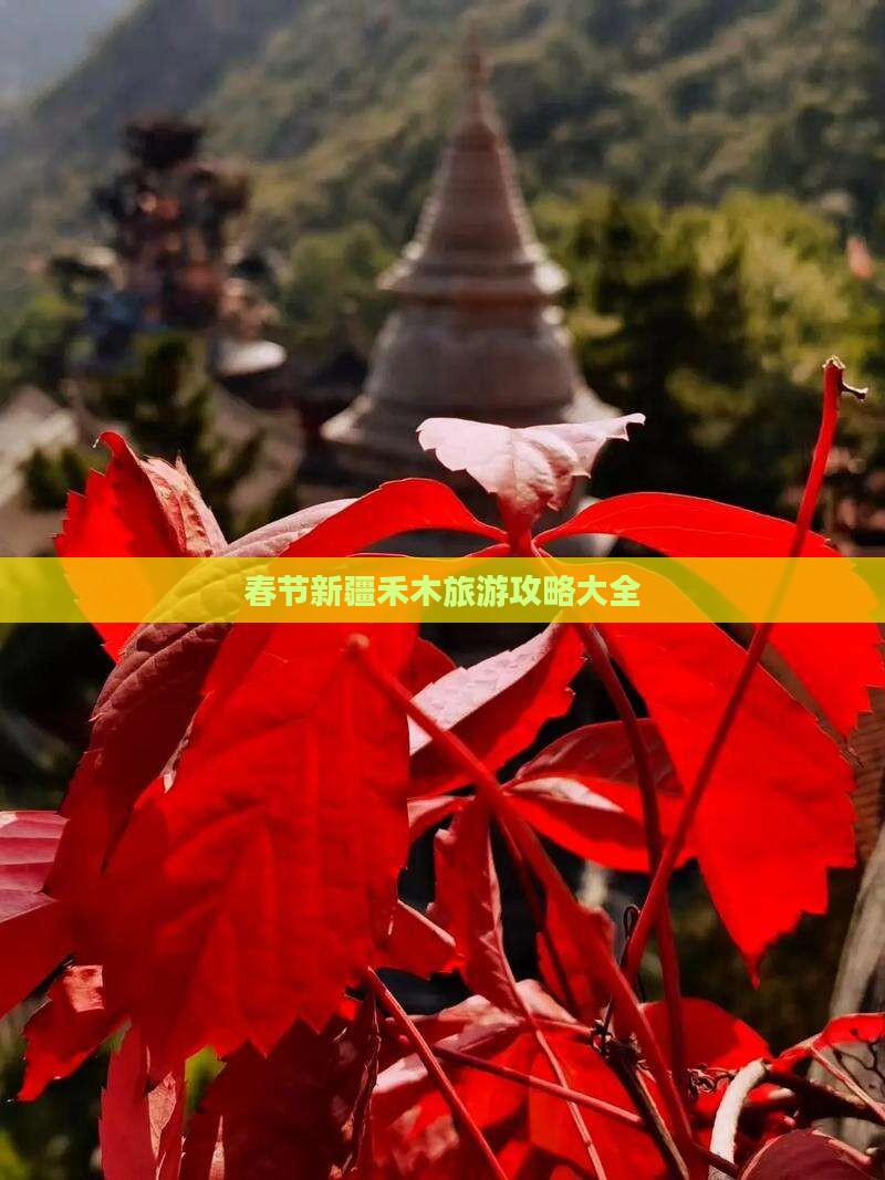 春节新疆禾木旅游攻略大全