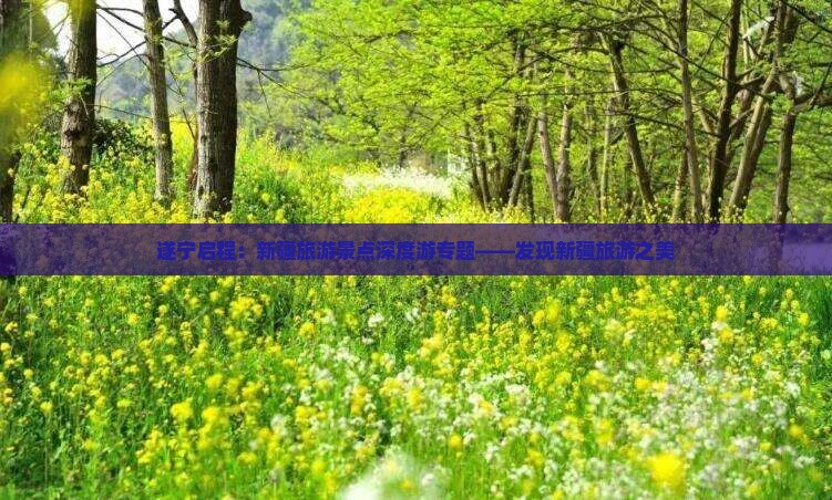 遂宁启程：新疆旅游景点深度游专题——发现新疆旅游之美