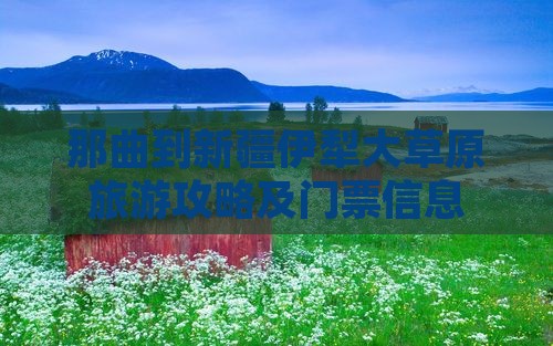 那曲到新疆伊犁大草原旅游攻略及门票信息