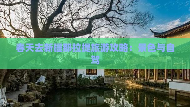 春天去新疆那拉提旅游攻略：景色与自驾