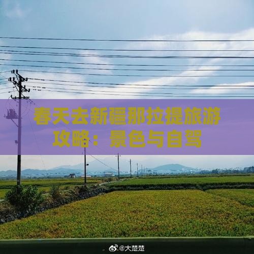 春天去新疆那拉提旅游攻略：景色与自驾