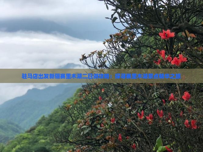 驻马店出发新疆赛里木湖二日游攻略：探寻赛里木湖景点精华之旅