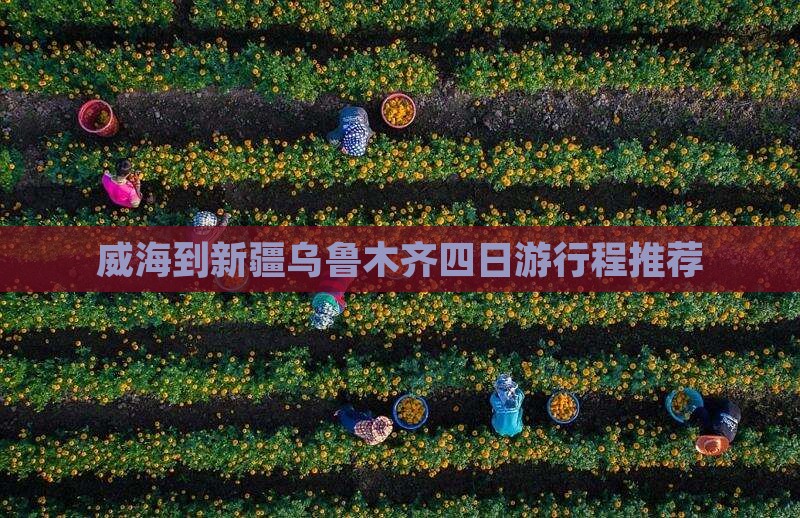 威海到新疆乌鲁木齐四日游行程推荐