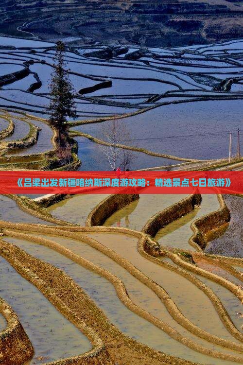 《吕梁出发新疆喀纳斯深度游攻略：精选景点七日旅游》