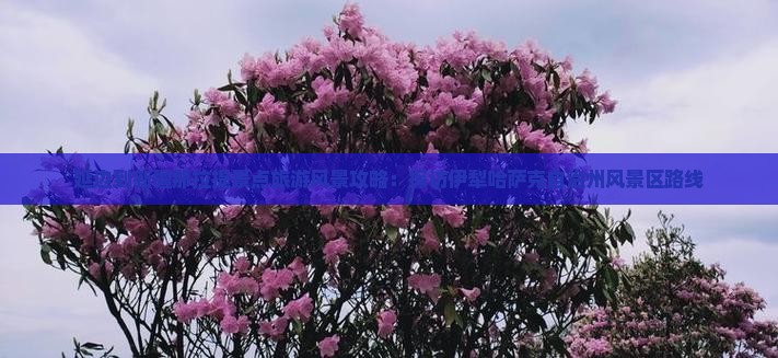 延边到新疆那拉提景点旅游风景攻略：探访伊犁哈萨克自治州风景区路线