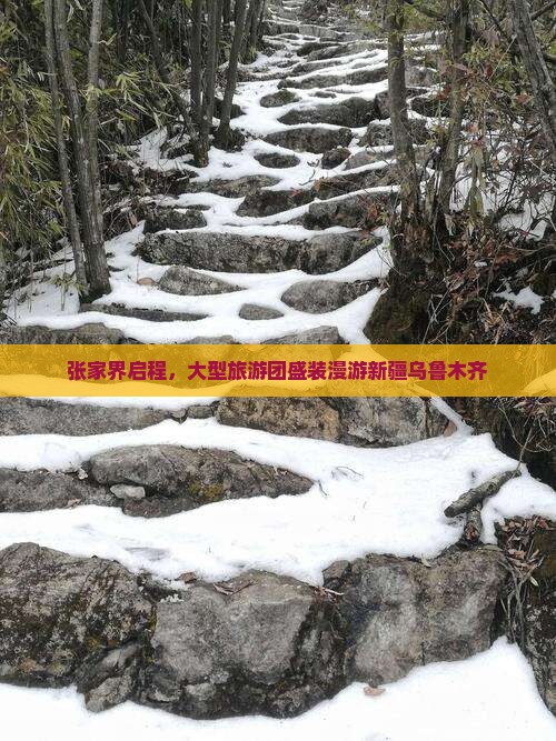 张家界启程，大型旅游团盛装漫游新疆乌鲁木齐
