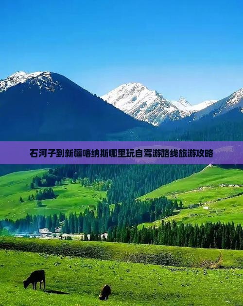 石河子到新疆喀纳斯哪里玩自驾游路线旅游攻略