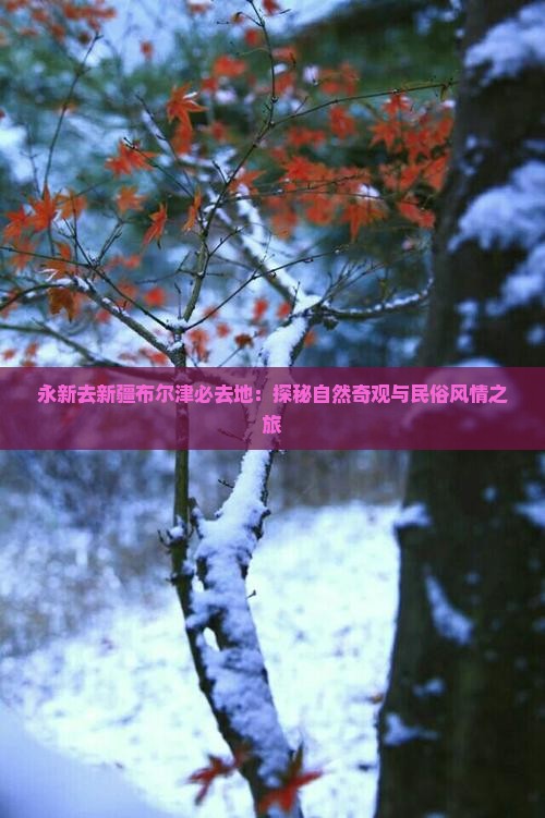 永新去新疆布尔津必去地：探秘自然奇观与民俗风情之旅