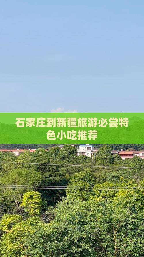 石家庄到新疆旅游必尝特色小吃推荐