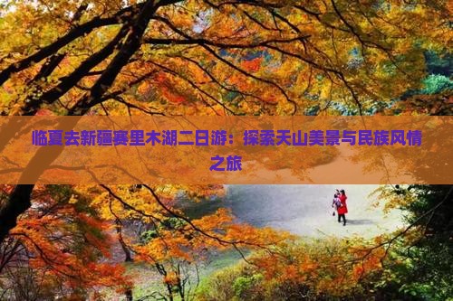 临夏去新疆赛里木湖二日游：探索天山美景与民族风情之旅
