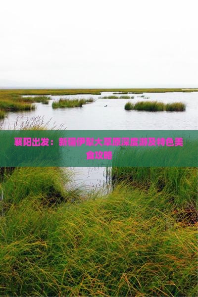 襄阳出发：新疆伊犁大草原深度游及特色美食攻略