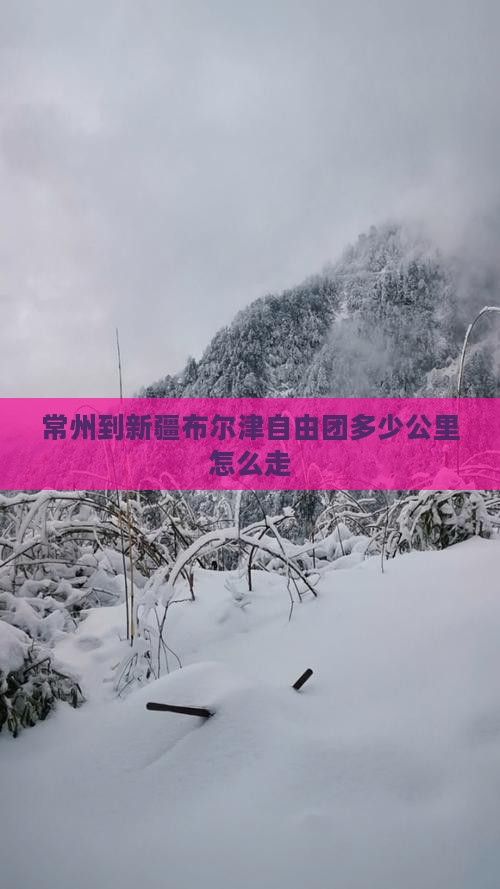 常州到新疆布尔津自由团多少公里怎么走
