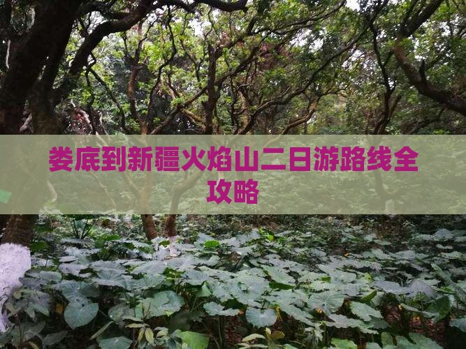 娄底到新疆火焰山二日游路线全攻略