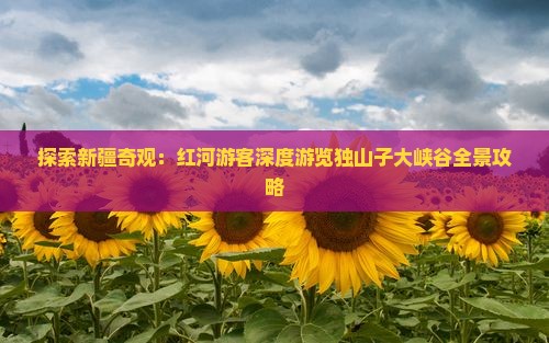 探索新疆奇观：红河游客深度游览独山子大峡谷全景攻略