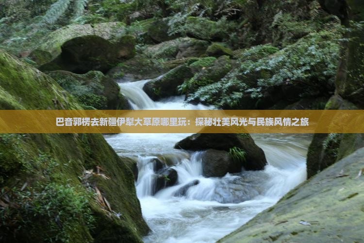 巴音郭楞去新疆伊犁大草原哪里玩：探秘壮美风光与民族风情之旅