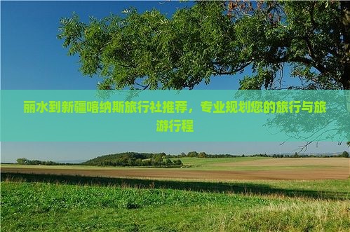 丽水到新疆喀纳斯旅行社推荐，专业规划您的旅行与旅游行程