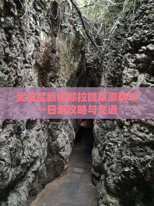 武威至新疆那拉提草原精华一日游攻略与交通