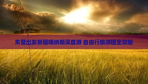 东营出发新疆喀纳斯深度游 自由行旅游团全攻略